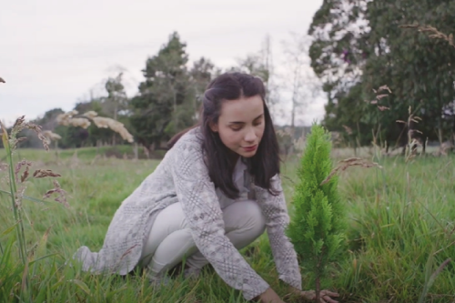 Urna Sostenible Infinity: volver al origen para conmemorar el legado de nuestros seres amados.